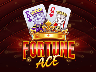Fortune Ace game cover